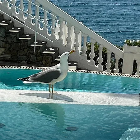 Helvetia Sestri Levante