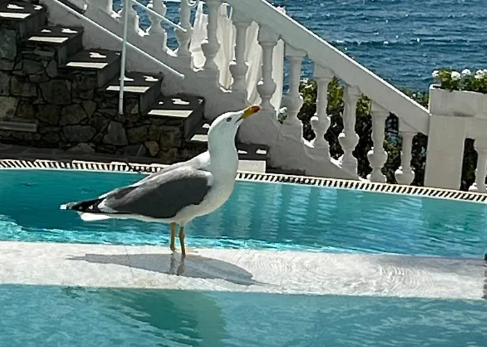 Helvetia Sestri Levante